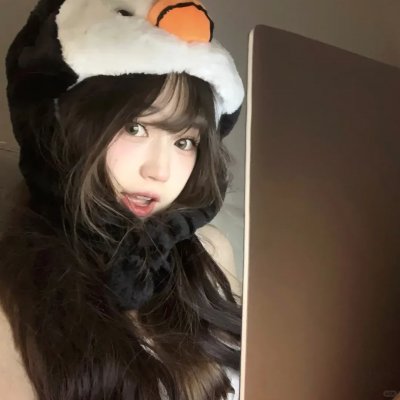 梅花档案